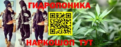 твердый Новокубанск