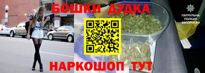 твердый Новокубанск
