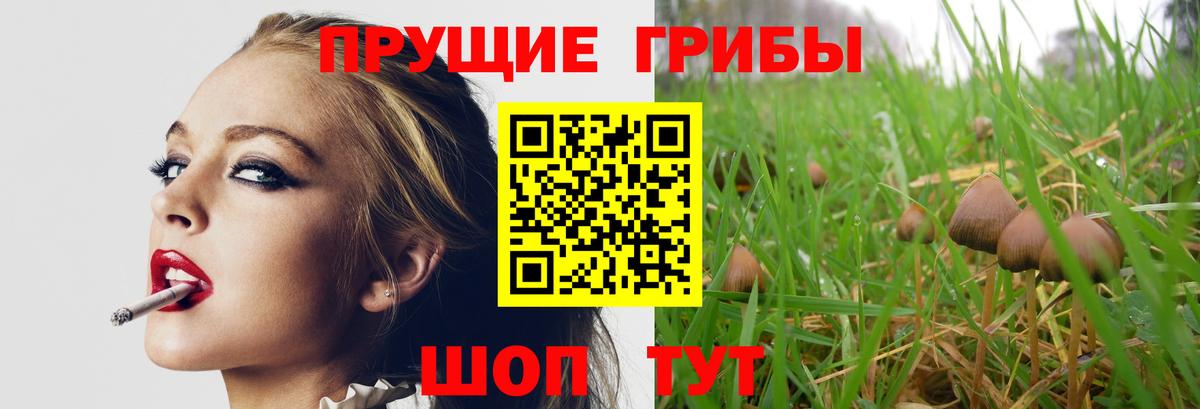 Галлюциногенные грибы Cubensis  Псилоцибиновые грибы Psilocybe  Архангельск  Вход с VPN 